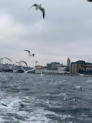 Similar image 21789911