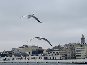 Similar image 21789912