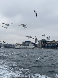 Similar image 21789913