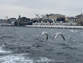 Similar image 21789915