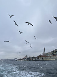 Similar image 21789916