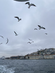 Similar image 21789917