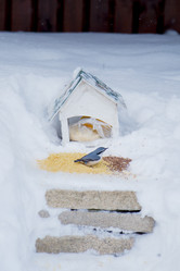 Similar image 21789918