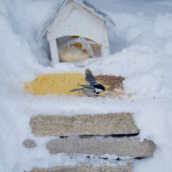 Similar image 21789919