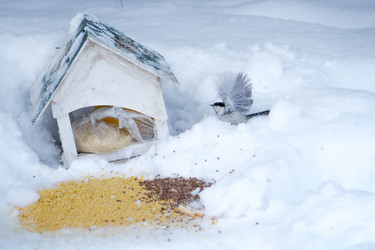 Similar image 21789920