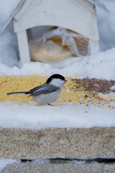 Similar image 21789921