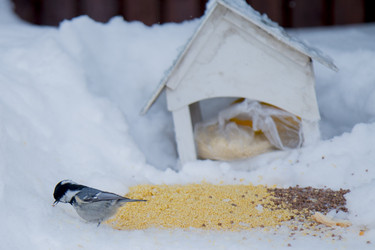 Similar image 21789923