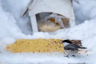 Similar image 21789925