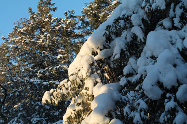 Similar image 21789926