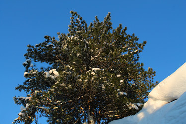 Similar image 21789928