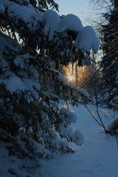 Similar image 21789930