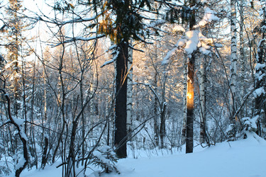 Similar image 21789931