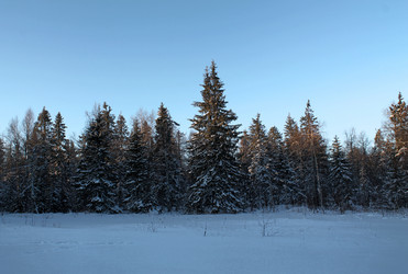 Similar image 21790103