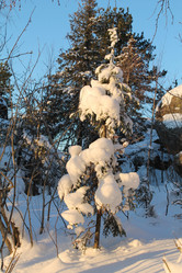 Similar image 21790104