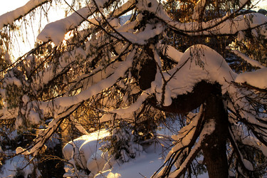 Similar image 21790105