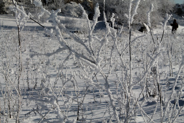 Similar image 21790106