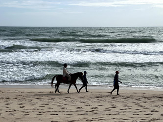 Similar image 21791054