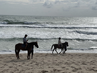 Similar image 21791055