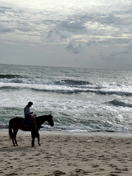 Similar image 21791056