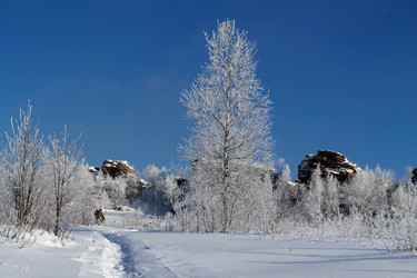 Similar image 21789680