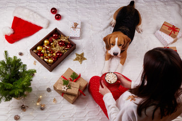 Similar image 21789708