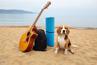 Similar image 21789715