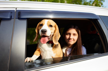 Similar image 21789718