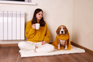 Similar image 21789721