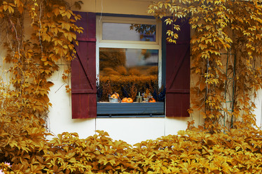 Similar image 21789733