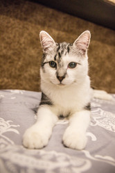 Similar image 21813325