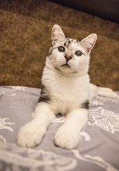 Similar image 21813326