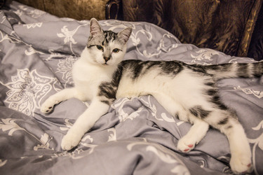 Similar image 21813327