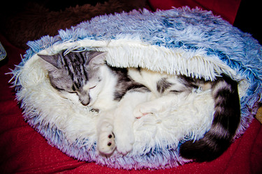 Similar image 21813328