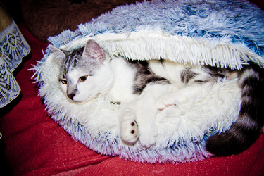 Similar image 21813329