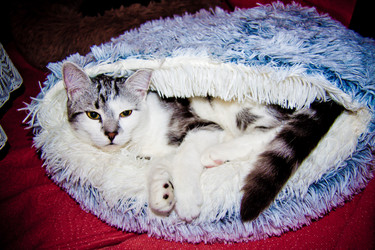 Similar image 21813330