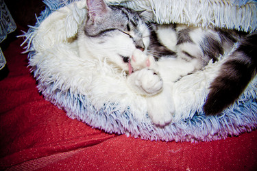 Similar image 21813331