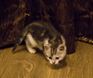 Similar image 21813332