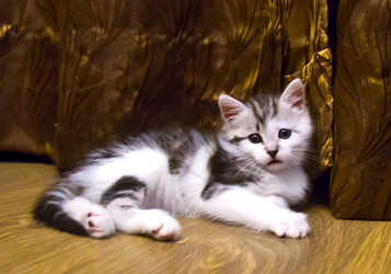 Similar image 21813333