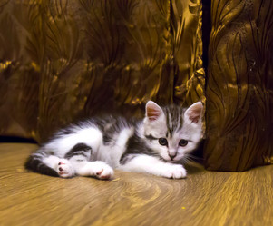 Similar image 21813848