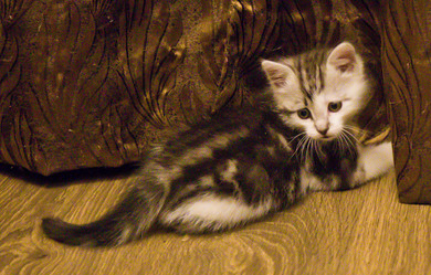 Similar image 21813334