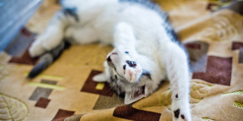 Similar image 21813335