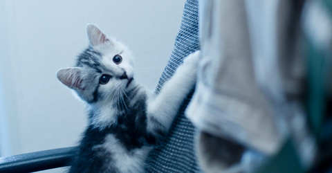 Similar image 21813336