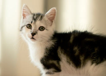 Similar image 21813337