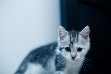 Similar image 21813338