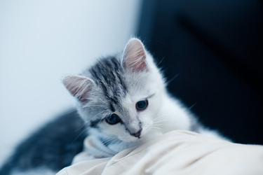 Similar image 21813339