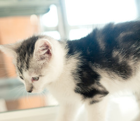 Similar image 21813342