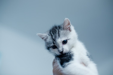 Similar image 21813343