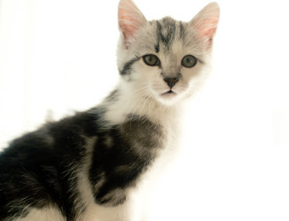 Similar image 21813344