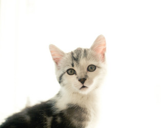 Similar image 21813345