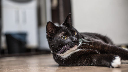 Similar image 21803264